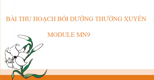 Bài thu hoạch bồi dưỡng thường xuyên module MN9 - HoaTieu.vn