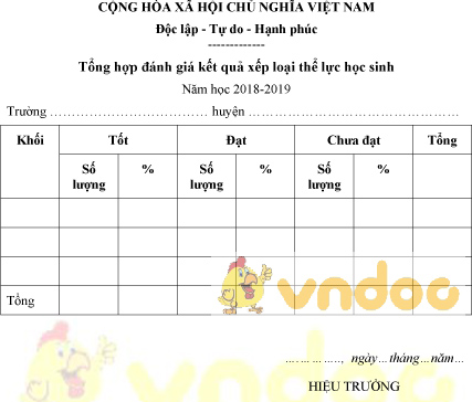 Mẫu báo cáo thể lực học sinh