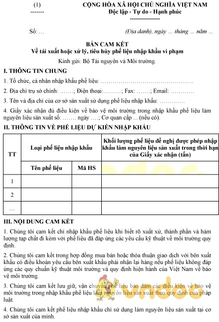 Mẫu bản cam kết tái xuất hoặc xử lý, tiêu hủy phế liệu nhập khẩu vi phạm