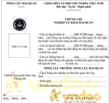 Mẫu chứng chỉ nghiệp vụ khai hải quan