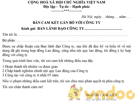 Mẫu cam kết gắn bó với công ty