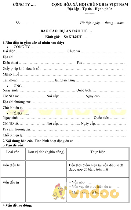 Mẫu báo cáo dự án đầu tư