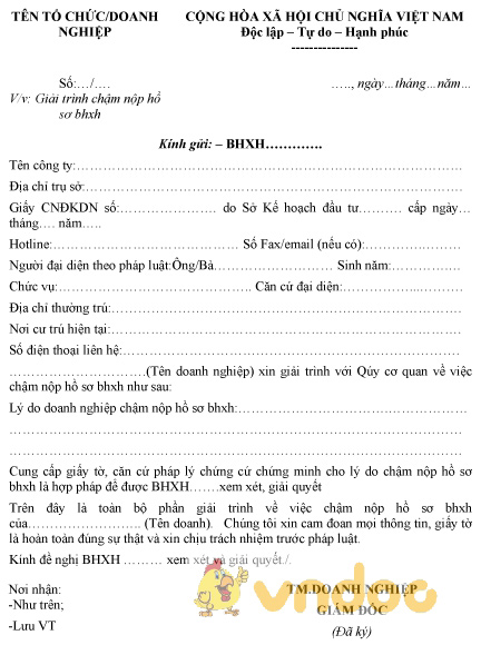 Mẫu giải trình chậm nộp hồ sơ bảo hiểm xã hội