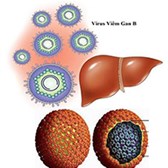 Hướng dẫn chẩn đoán, điều trị bệnh viêm gan virus B