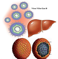 Hướng dẫn chẩn đoán, điều trị bệnh viêm gan virus B