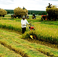 Cách tính thuế nhà đất phi nông nghiệp, đất nông nghiệp mới nhất