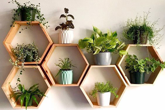 Trang trí lớp học