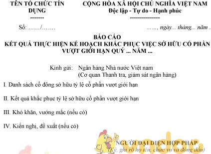 Mẫu báo cáo kết quả thực hiện kế hoạch khắc phục việc sở hữu cổ phần vượt giới hạn