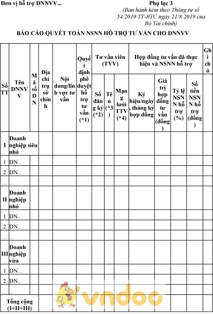 Mẫu báo cáo quyết toán ngân sách nhà nước hỗ trợ tư vấn