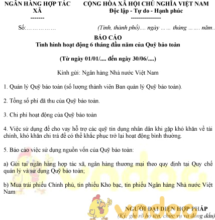 Mẫu báo cáo tình hình hoạt động 6 tháng đầu năm của quỹ bảo toàn
