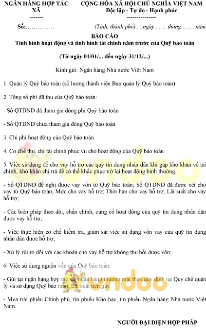 Mẫu báo cáo tình hình hoạt động và tình hình tài chính năm trước của quỹ bảo toàn