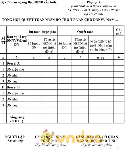 Mẫu tổng hợp quyết toán ngân sách nhà nước hỗ trợ tư vấn