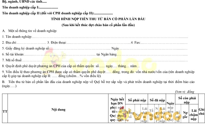 Mẫu tình hình nộp tiền thu từ bán cổ phần lần đầu