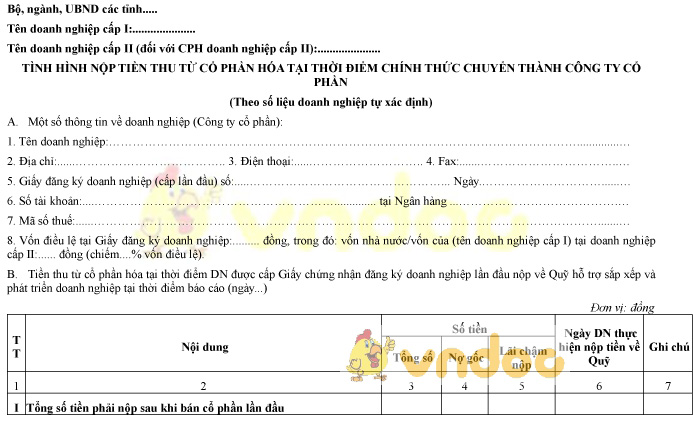 Mẫu tình hình nộp tiền thu từ cổ phần hóa thời điểm chính thức chuyển thành công ty cổ phần