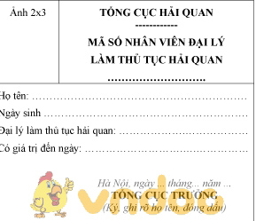 Mẫu mã số nhân viên đại lý làm thủ tục hải quan
