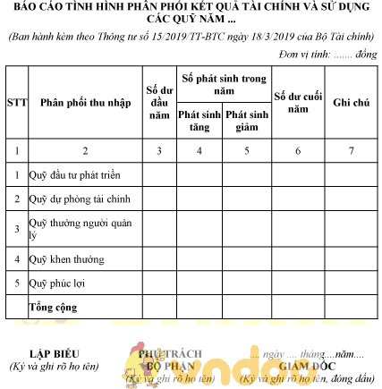 Mẫu báo cáo tình hình phân phối kết quả tài chính và sử dụng các quỹ