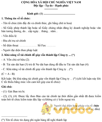 Mẫu báo cáo khả năng tài chính tham gia góp vốn tổ chức tín dụng phi ngân hàng