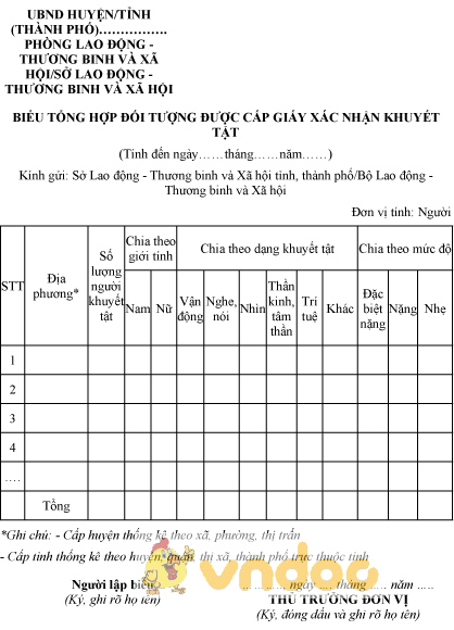 Mẫu biểu tổng hợp đối tượng được cấp giấy xác nhận khuyết tật