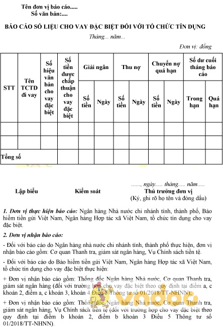 Mẫu báo cáo số liệu cho vay đặc biệt đối với tổ chức tín dụng