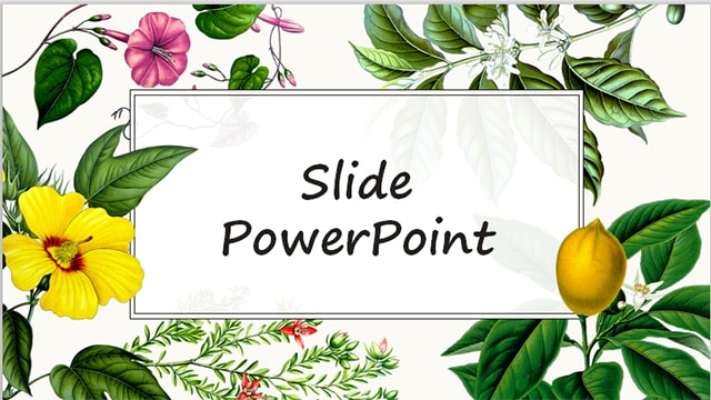 Mẫu slide bài giảng