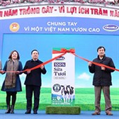 Thông tư 31/2019/TT-BYT - Quy định về sữa tươi sử dụng trong Sữa học đường