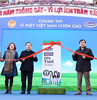 Thông tư 31/2019/TT-BYT - Quy định về sữa tươi sử dụng trong Sữa học đường