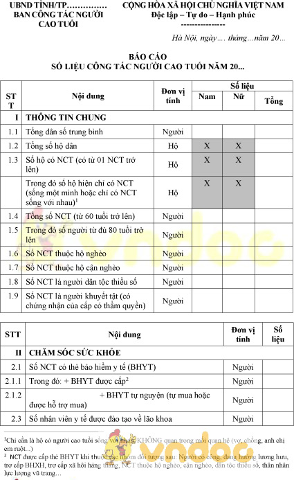 Mẫu báo cáo số liệu công tác người cao tuổi