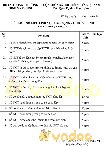 Mẫu báo cáo số liệu lĩnh vực lao động thương binh và xã hội công tác người cao tuổi