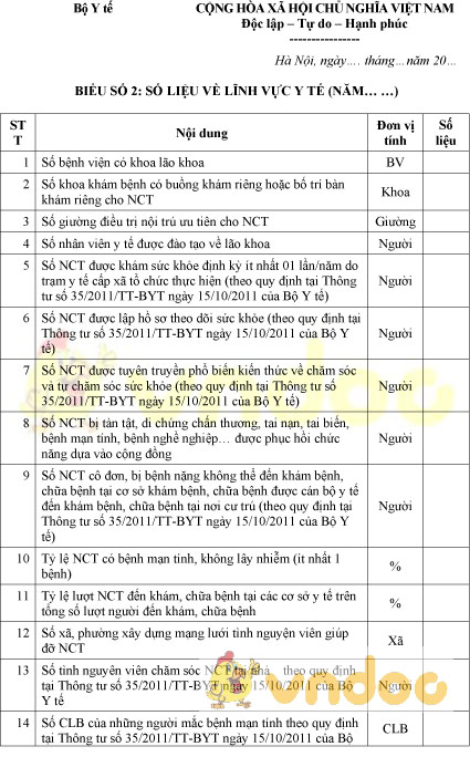 Mẫu báo cáo số liệu về lĩnh vực y tế công tác người cao tuổi