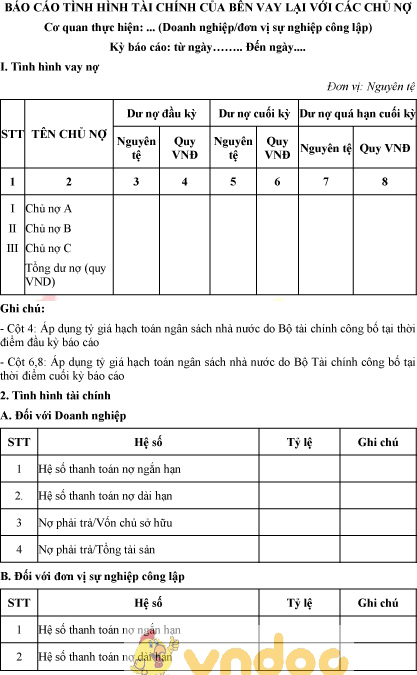 Mẫu báo cáo tình hình tài chính của bên vay lại với các chủ nợ