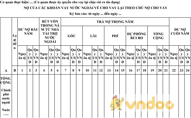 Mẫu nợ của các khoản vay nước ngoài của cơ quan được ủy quyền cho vay