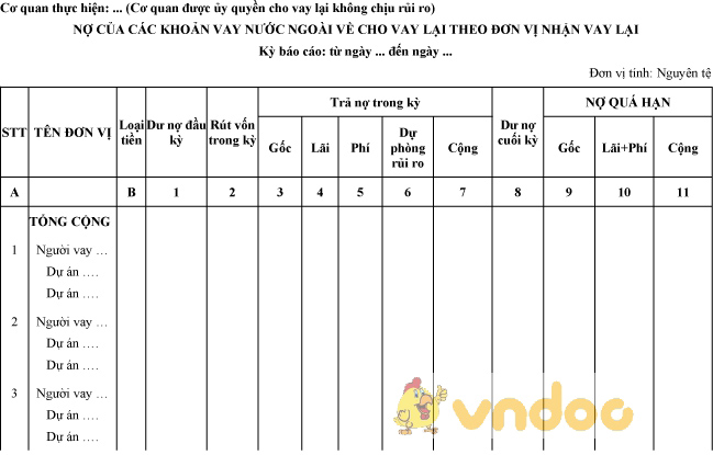 Mẫu nợ của các khoản vay nước ngoài về cho vay lại theo đơn vị nhận vay lại