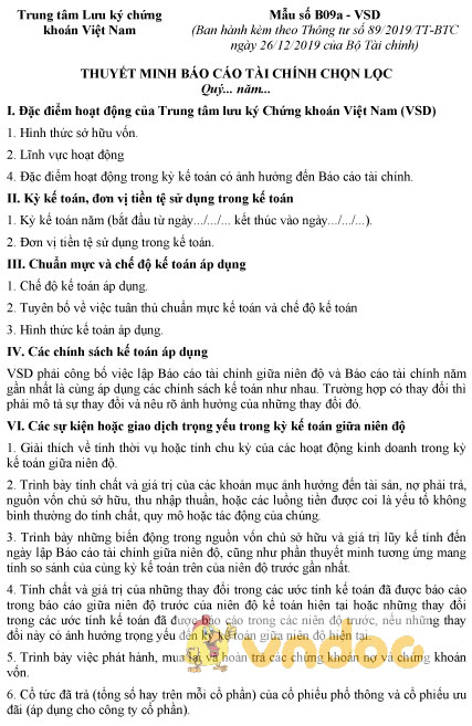 Mẫu số B09a - VSD: Thuyết minh báo cáo tài chính chọn lọc