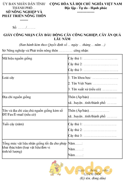 Mẫu giấy công nhận cây đầu dòng cây công nghiệp, cây ăn quả lâu năm
