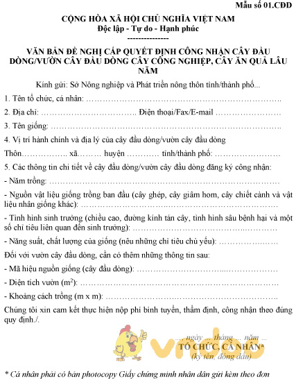 Mẫu văn bản đề nghị cấp quyết định công nhận cây đầu dòng