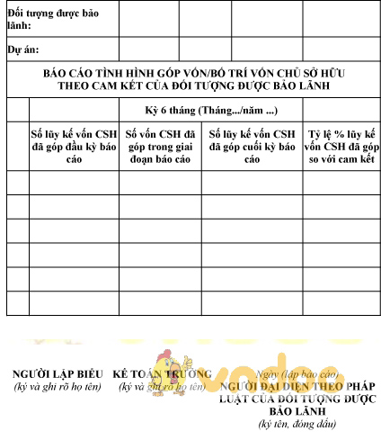 Mẫu báo cáo tình hình góp vốn của đối tượng được bảo lãnh