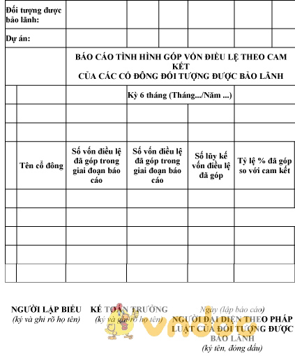 Mẫu báo cáo tình hình góp vốn điều lệ theo cam kết của các cổ đông đối tượng được bảo lãnh