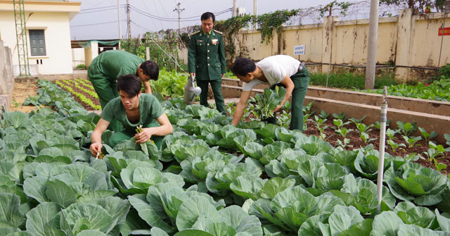 Bài dự thi bộ đội hậu cần làm theo lời Bác