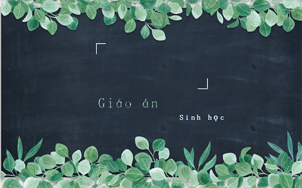 Mẫu slide giáo dục