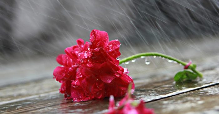 Viết về tấm gương sáng chống covid19