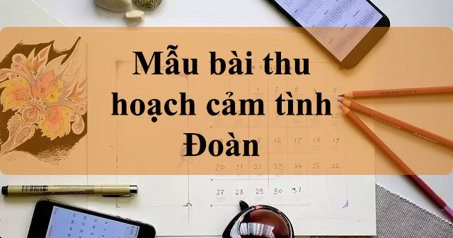 8 Bài thu hoạch cảm tình Đoàn cập nhật mới, hay nhất năm 2025
