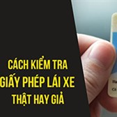 Tra cứu giấy phép lái xe - Ggplx.gov.vn 2024