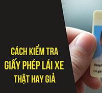 Tra cứu giấy phép lái xe - Ggplx.gov.vn 2024