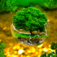 Ngày môi trường thế giới là ngày nào?