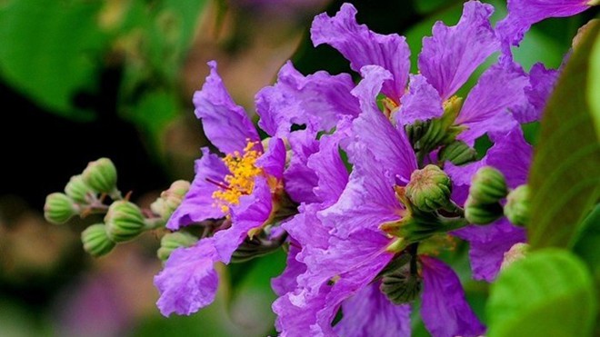 Thư tri ân thầy cô