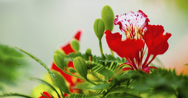 bài phát biểu cuối năm của học sinh lớp 9