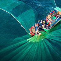 Top 5 tỉnh có diện tích nhỏ nhất Việt Nam