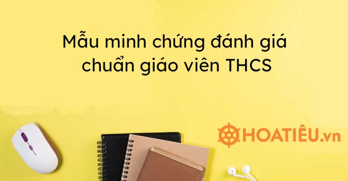 Thống kê minh chứng chuẩn giáo viên THCS 2024 - HoaTieu.vn