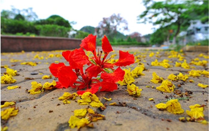 Diễn văn bế giảng