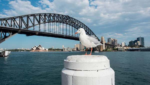 Viết về cuốn sách tôi yêu